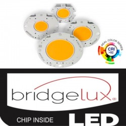 Foco Led 25W EMPOTRABLE Orientable CCT